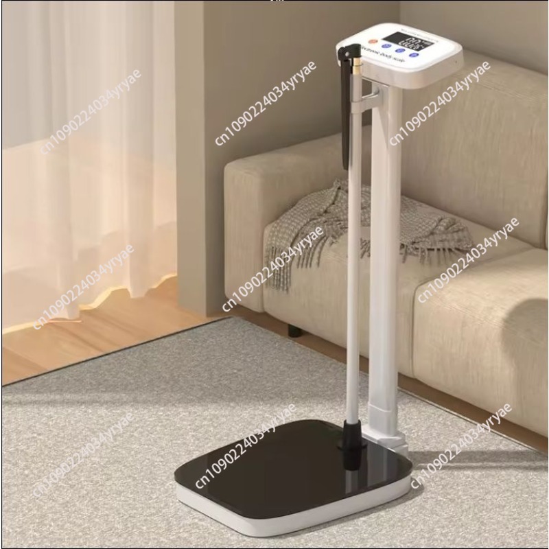 Smart body scale connection AP - Digital Body Weight Scale review and price