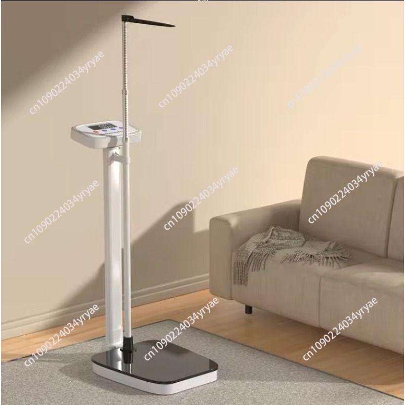 Smart body scale connection AP - Digital Body Weight Scale review and price