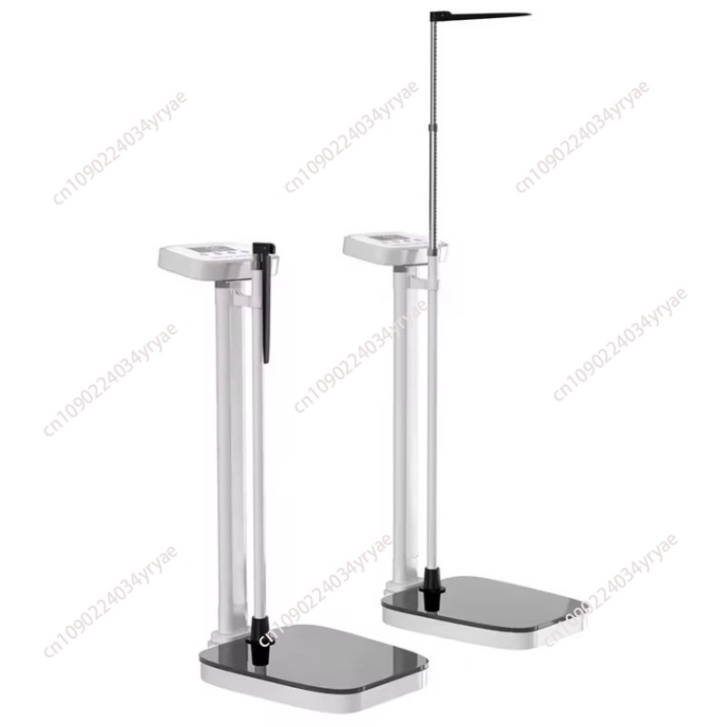 Smart body scale connection AP - Digital Body Weight Scale review and price