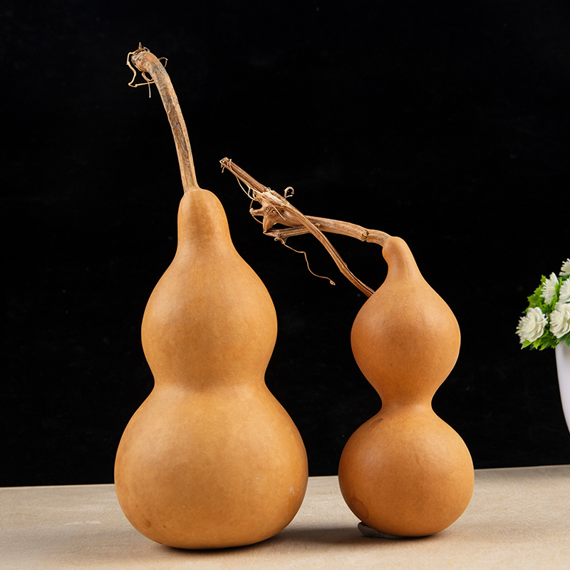 1pc Natural Gourd Handicraft O - Longevity Health & Wellness Hotel Adults Only review and price