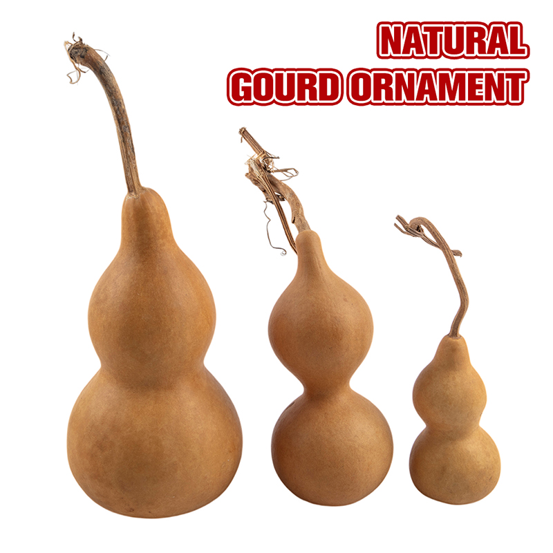 1pc Natural Gourd Handicraft O - Longevity Health & Wellness Hotel Adults Only review and price