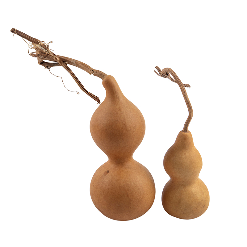 1pc Natural Gourd Handicraft O - Longevity Health & Wellness Hotel Adults Only review and price