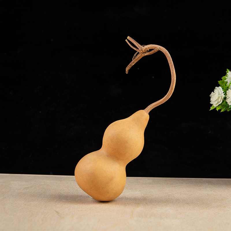 1pc Natural Gourd Handicraft O - Longevity Health & Wellness Hotel Adults Only review and price