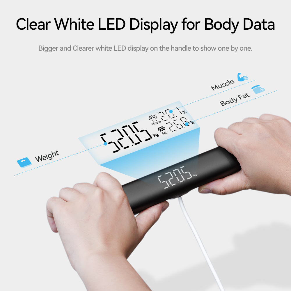 Smart Scale for Body Weight, F - Digital Body Weight Scale review and price