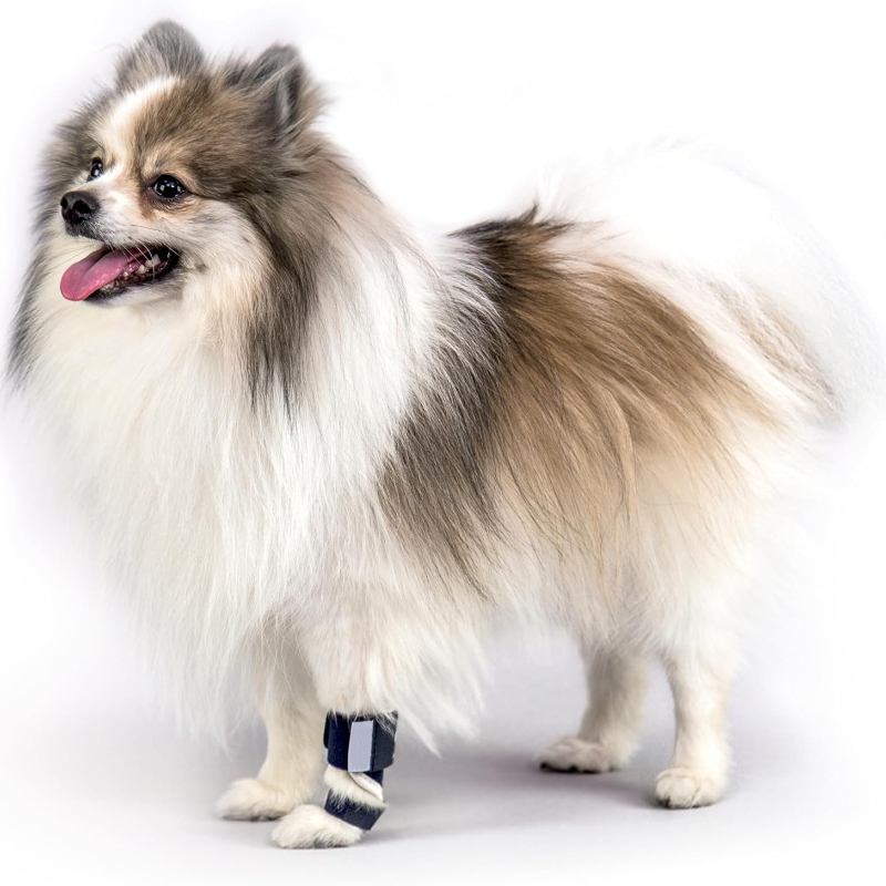 Carpal Hyperextension Dog Brac - Ankle Brace Support review and price